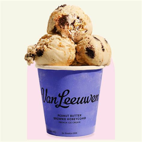 lee van ice cream|van leeuwen artisan ice cream.